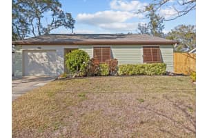 1310 MERES BOULEVARD, TARPON SPRINGS, FL 34689 Sold 04/30/25