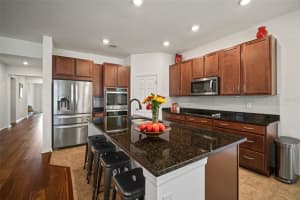 10641 CARDERA DRIVE, RIVERVIEW, FL 33578 Sold 03/28/25