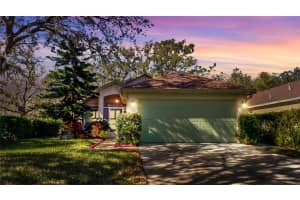 5873 MEADOWPARK PLACE, LITHIA, FL 33547 Sold 03/13/25