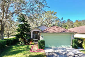 5873 MEADOWPARK PLACE, LITHIA, FL 33547 Sold 03/13/25
