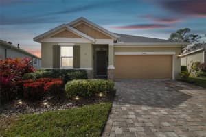 6230 Plover Meadow St, LITHIA