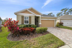 6230 PLOVER MEADOW STREET, LITHIA, FL 33547 - MLS#MFRTB8345605