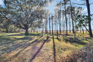 6405 FIVE ACRE ROAD, PLANT CITY, FL 33565 Sold 08/13/25