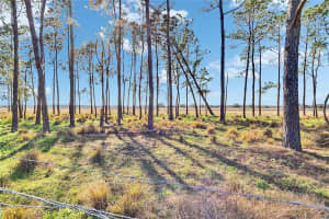 6405 FIVE ACRE ROAD, PLANT CITY, FL 33565 Sold 08/13/25