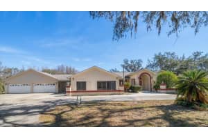 18419 Tyler Rd, ODESSA