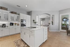 26853 WINGED ELM DRIVE, WESLEY CHAPEL, FL 33544 Sold 03/07/25