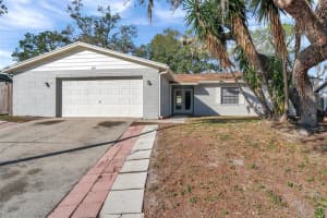 3917 BRIARLAKE DRIVE, VALRICO, FL 33596 Sold 03/12/25