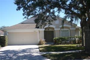 5532 WAR ADMIRAL DRIVE, WESLEY CHAPEL, FL 33544 Sold 03/19/25