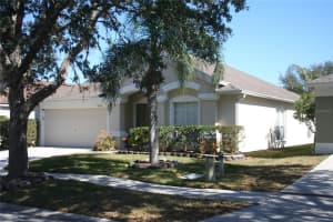 5532 WAR ADMIRAL DRIVE, WESLEY CHAPEL, FL 33544 Sold 03/19/25