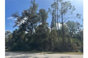 JOYCE AVE, NORTH PORT, FL 34286 - MLS#MFRTB8345800