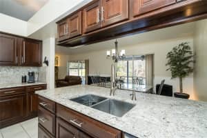 23523 SHINING STAR DRIVE, LAND O LAKES, FL 34639 Sold 03/11/25