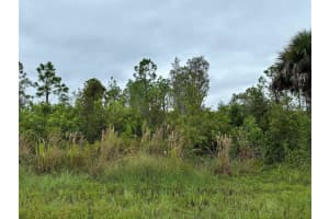 8215 DITTMAR STREET, PORT CHARLOTTE, FL 33981 - MLS#MFRTB8345918