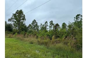 8215 DITTMAR STREET, PORT CHARLOTTE, FL 33981 - MLS#MFRTB8345918