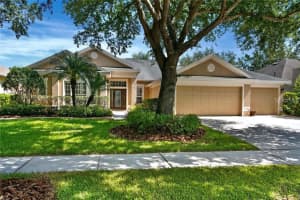 10240 SHADOW BRANCH DRIVE, TAMPA, FL 33647 Sold 04/30/25