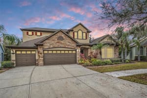 19116 SWEET CLOVER LANE, TAMPA, FL 33647 Sold 05/30/25