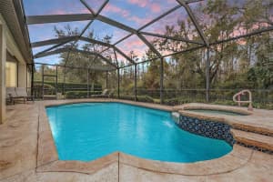19116 SWEET CLOVER LANE, TAMPA, FL 33647 Sold 05/30/25
