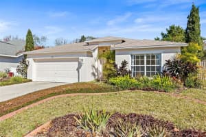 4251 Whittner Dr, LAND O LAKES