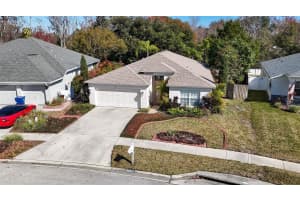 4251 WHITTNER DRIVE, LAND O LAKES, FL 34639 - MLS#MFRTB8345957