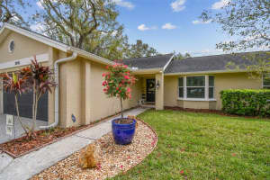 3119 BLUE HERON STREET, SAFETY HARBOR, FL 34695 Sold 05/28/25