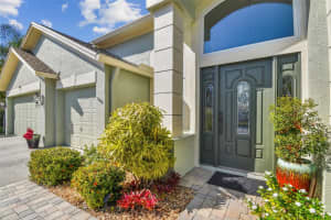 3710 RAIN TREE COURT, PALM HARBOR, FL 34685 Sold 03/12/25