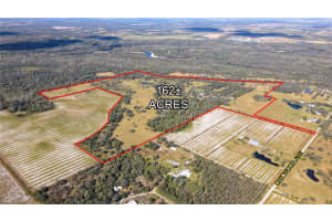 5009 OAKWOOD AVENUE, ARCADIA, FL 34269 - MLS#MFRTB8346085