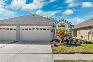 31806 LARKENHEATH DRIVE, WESLEY CHAPEL, FL 33543 - MLS#MFRTB8346097