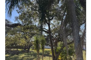 MLS# MFRTB8346108, Tampa, Florida 33614