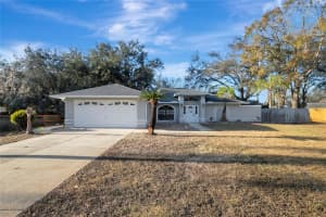 2733 GLENVIEW DRIVE, LAND O LAKES, FL 34639 Sold 03/14/25