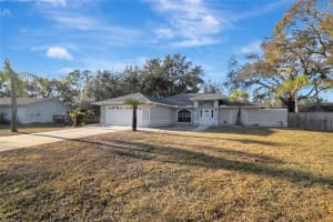 2733 GLENVIEW DRIVE, LAND O LAKES, FL 34639 Sold 03/14/25