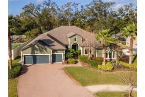 13904 SHADOW TREE LANE, TAMPA, FL 33618 Sold 03/28/25