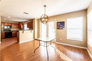18840 PARAPET PLACE, LAND O LAKES, FL 34638 Sold 04/08/25