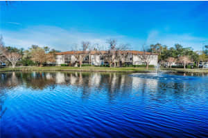 3377 CRYSTAL COURT, PALM HARBOR, FL 34685 - MLS#MFRTB8346201