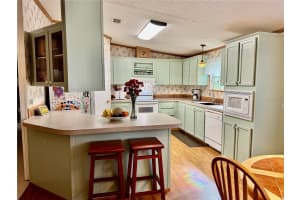8326 FANTASIA PARK WAY, RIVERVIEW, FL 33578 Sold 06/17/25