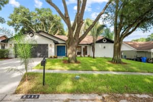 2717 BRIARPATCH DRIVE, VALRICO, FL 33596 Sold 03/21/25