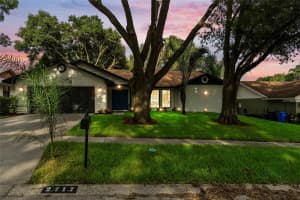 2717 BRIARPATCH DRIVE, VALRICO, FL 33596 Sold 03/21/25