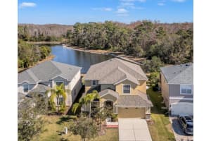 20209 MERRY OAK AVENUE, TAMPA, FL 33647 Sold 06/30/25
