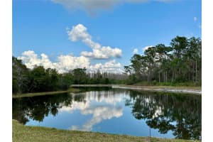 20209 MERRY OAK AVENUE, TAMPA, FL 33647 Sold 06/30/25