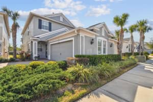 11132 ROSEATE DRIVE, TAMPA, FL 33626 Sold 03/20/25