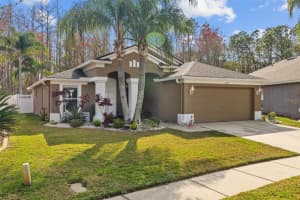 5225 ALGERINE PLACE, WESLEY CHAPEL, FL 33544 Sold 03/17/25