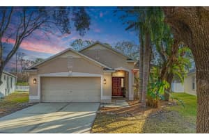 8317 MOCCASIN TRAIL DRIVE, RIVERVIEW, FL 33578 Sold 03/13/25