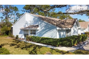 16216 RAMBLING VINE DRIVE, TAMPA, FL 33624 Sold 03/19/25