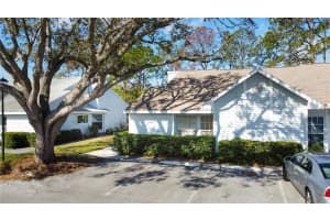 16216 RAMBLING VINE DRIVE, TAMPA, FL 33624 Sold 03/19/25