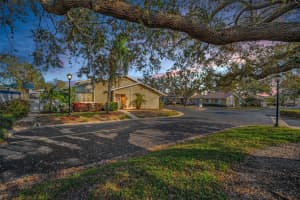 1671 CAPE ANN AVENUE, ST PETERSBURG, FL 33702 Sold 04/08/25