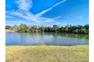 10839 VENICE CIRCLE, TAMPA, FL 33635 Sold 04/16/25