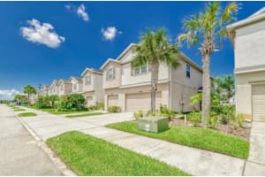 4925 WHITE SANDERLING COURT, TAMPA, FL 33619 Sold 07/23/25