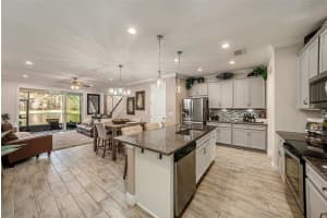 5507 CUMBERLAND STAR COURT, LUTZ, FL 33558 Sold 03/24/25