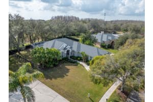 19107 CENTRE ROSE BOULEVARD, LUTZ, FL 33558 Sold 03/17/25