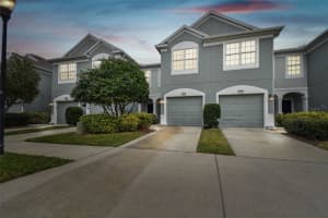 2110 WOLFSKILL PLACE, RIVERVIEW, FL 33578 Sold 03/14/25