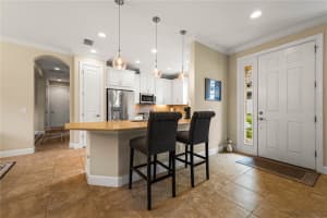11309 CALLISIA DRIVE, ODESSA, FL 33556 - MLS#MFRTB8346834