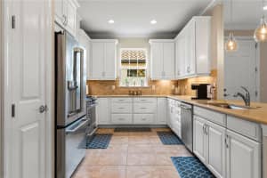 11309 CALLISIA DRIVE, ODESSA, FL 33556 - MLS#MFRTB8346834